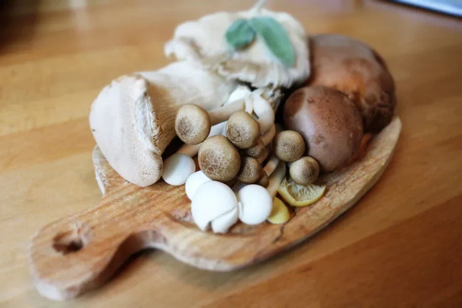 Cómo los hongos trabajan la salud cognitiva y digestiva: Una guía de nutrición.
