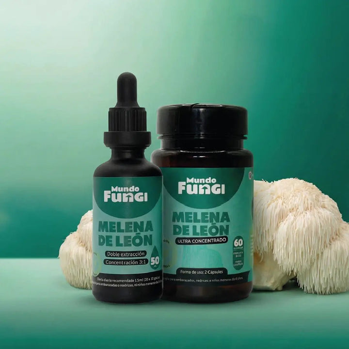Pack Melena de León - Digestivo y Cognitivo