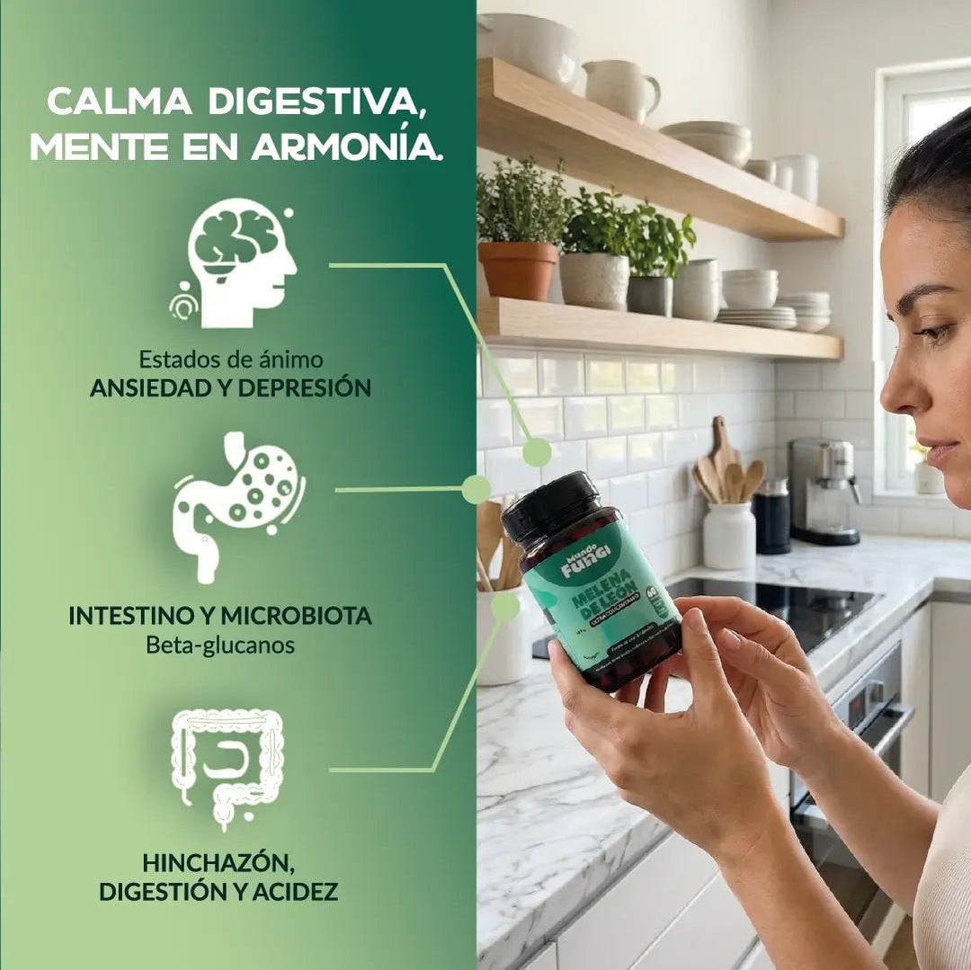 Melena de león en cápsulas - Ansiedad - Salud Digestiva