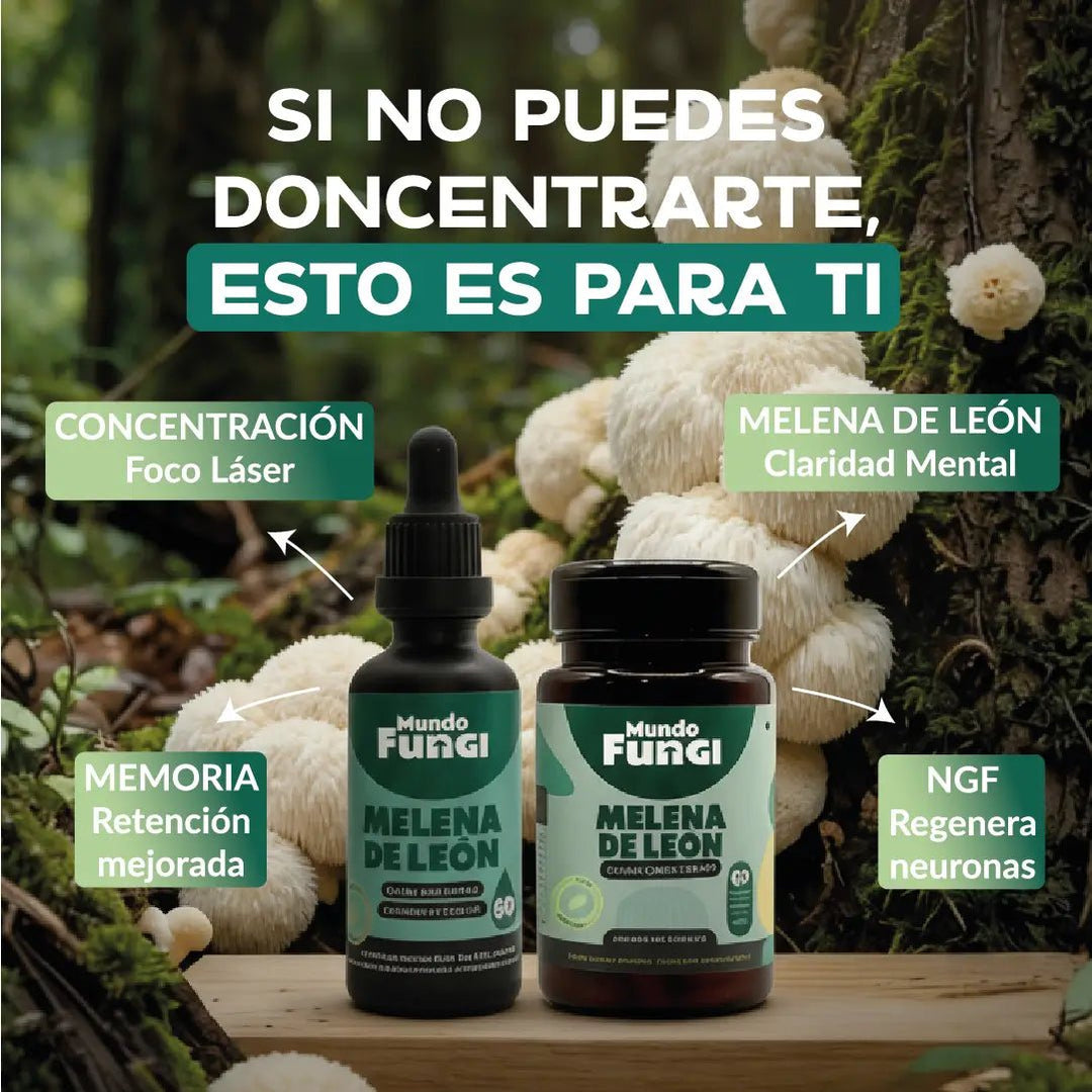 Pack Melena de León - Digestivo y Cognitivo