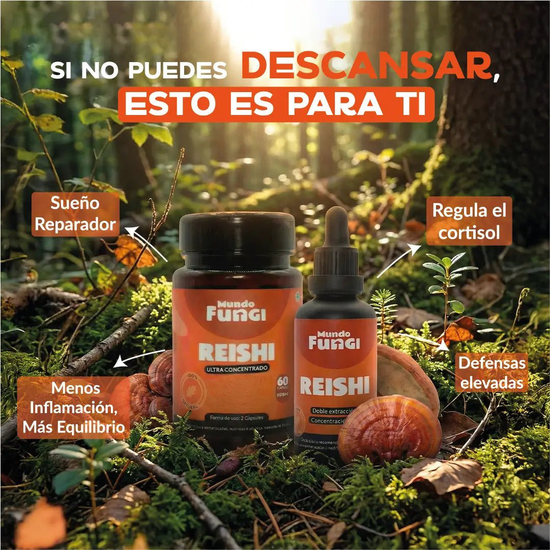Packs gotas y capsulas Reishi XL