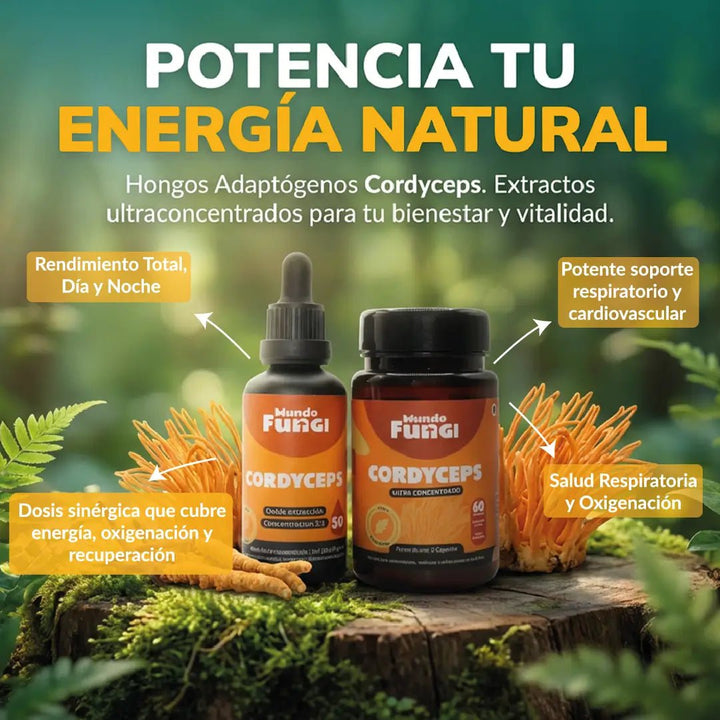 Pack Cordyceps XL