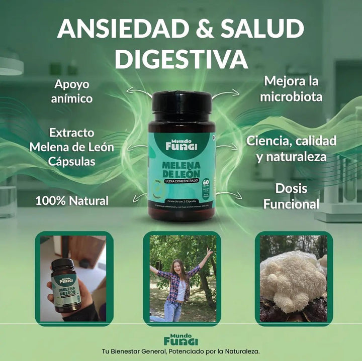 Melena de león en cápsulas - Ansiedad - Salud Digestiva