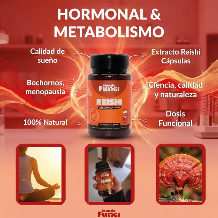 Reishi Capsulas - Hormonal y Metabolismo