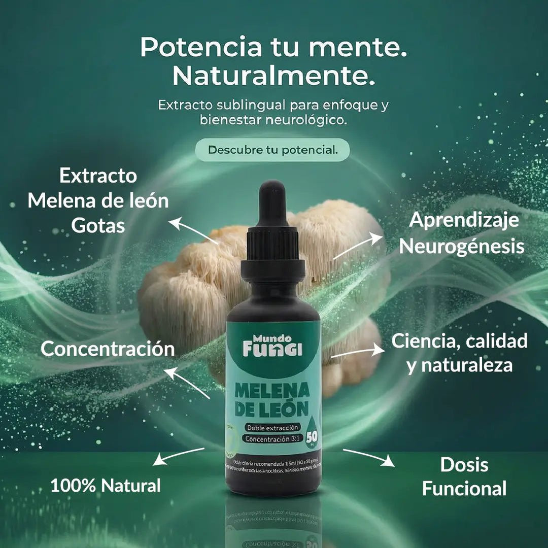Melena de león en gotas - Memoria y Concentración