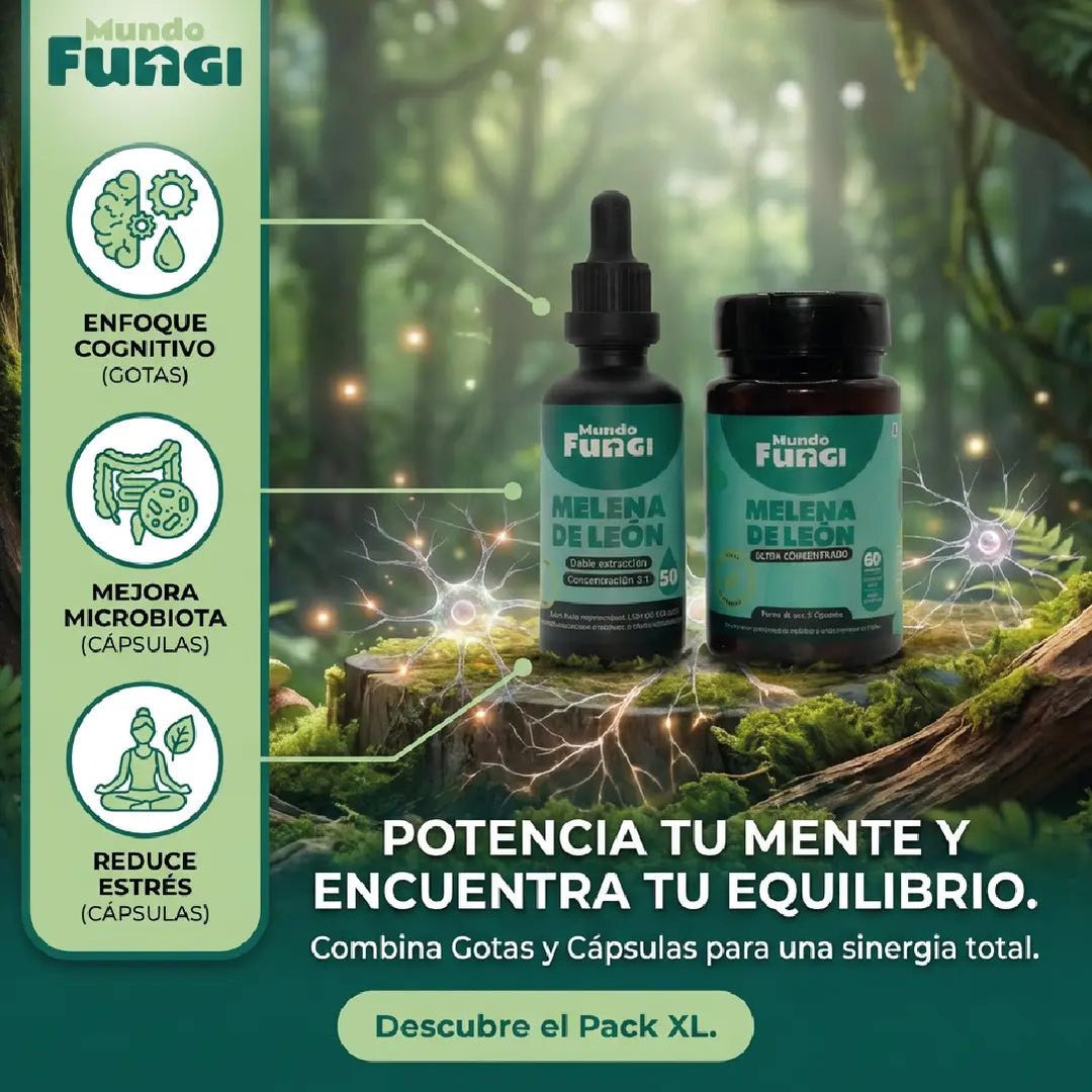 Pack Melena de León - Digestivo y Cognitivo