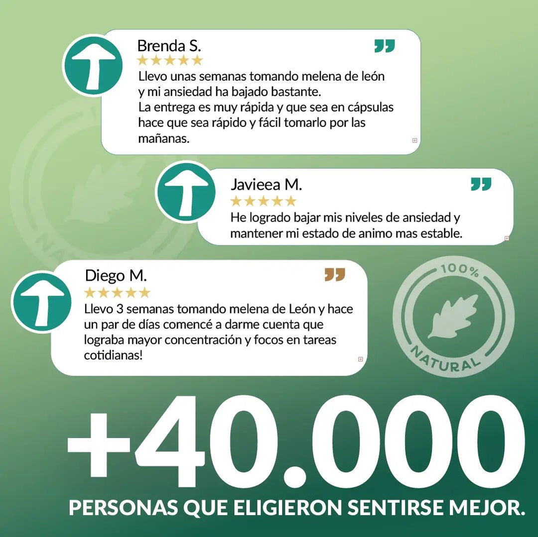 Melena de león en cápsulas - Ansiedad - Salud Digestiva