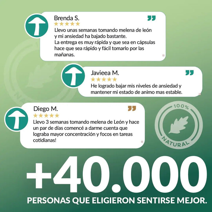 Melena de león en cápsulas - Ansiedad - Salud Digestiva