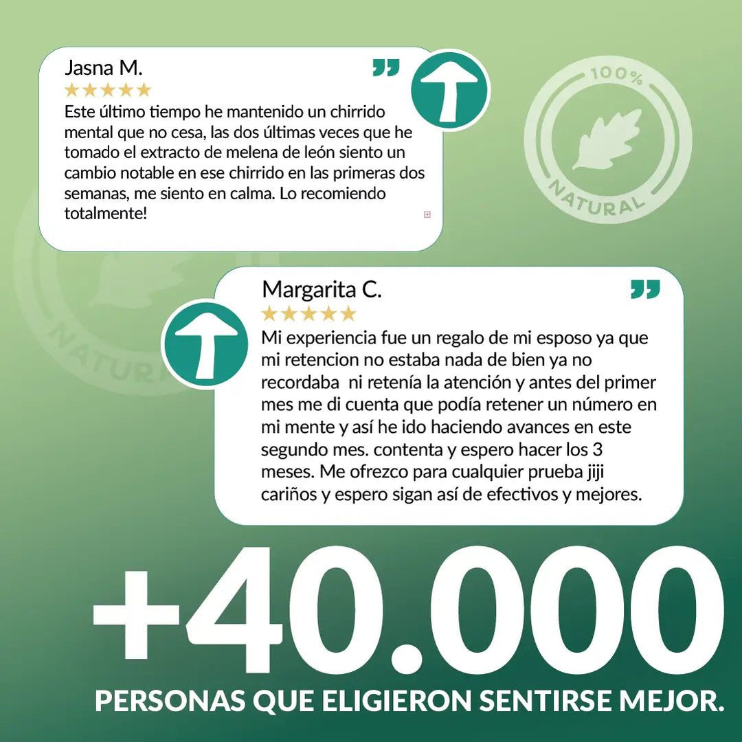 Melena de león en gotas - Memoria y Concentración