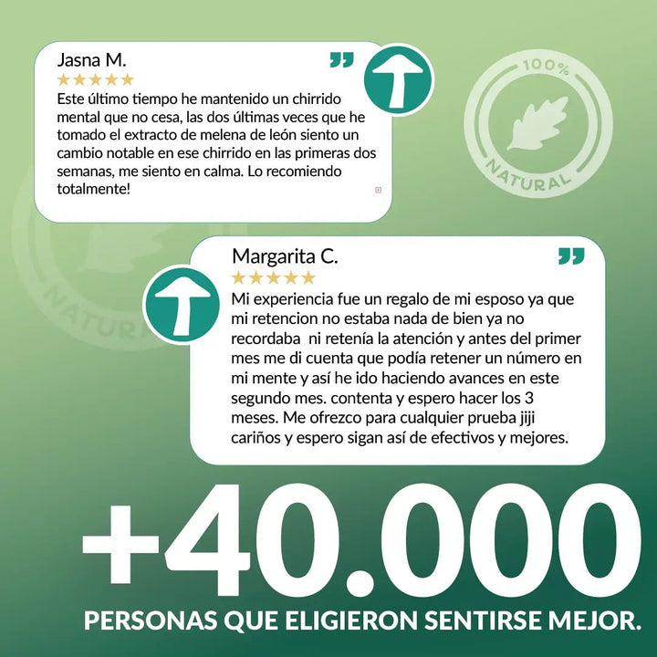 Melena de león en gotas - Memoria y Concentración