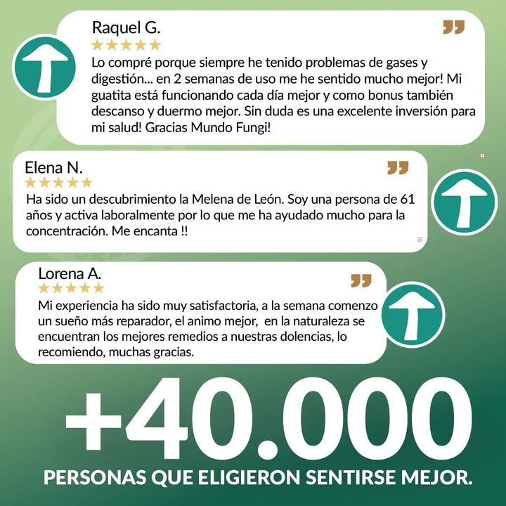 Pack Melena de León - Digestivo y Cognitivo