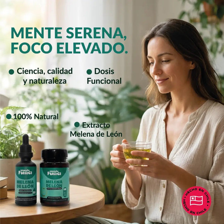 Pack Melena de León - Digestivo y Cognitivo