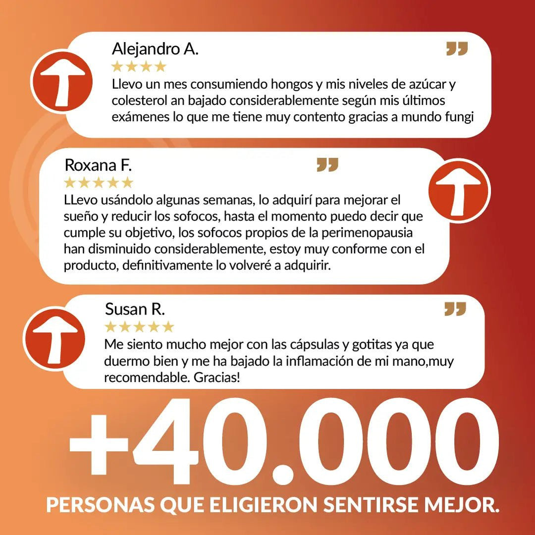 Packs gotas y capsulas Reishi XL