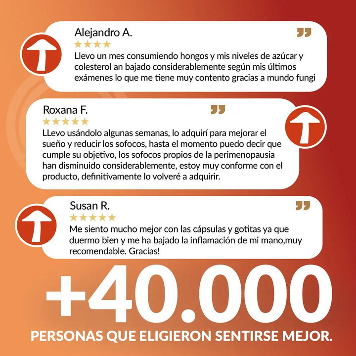 Packs gotas y capsulas Reishi XL