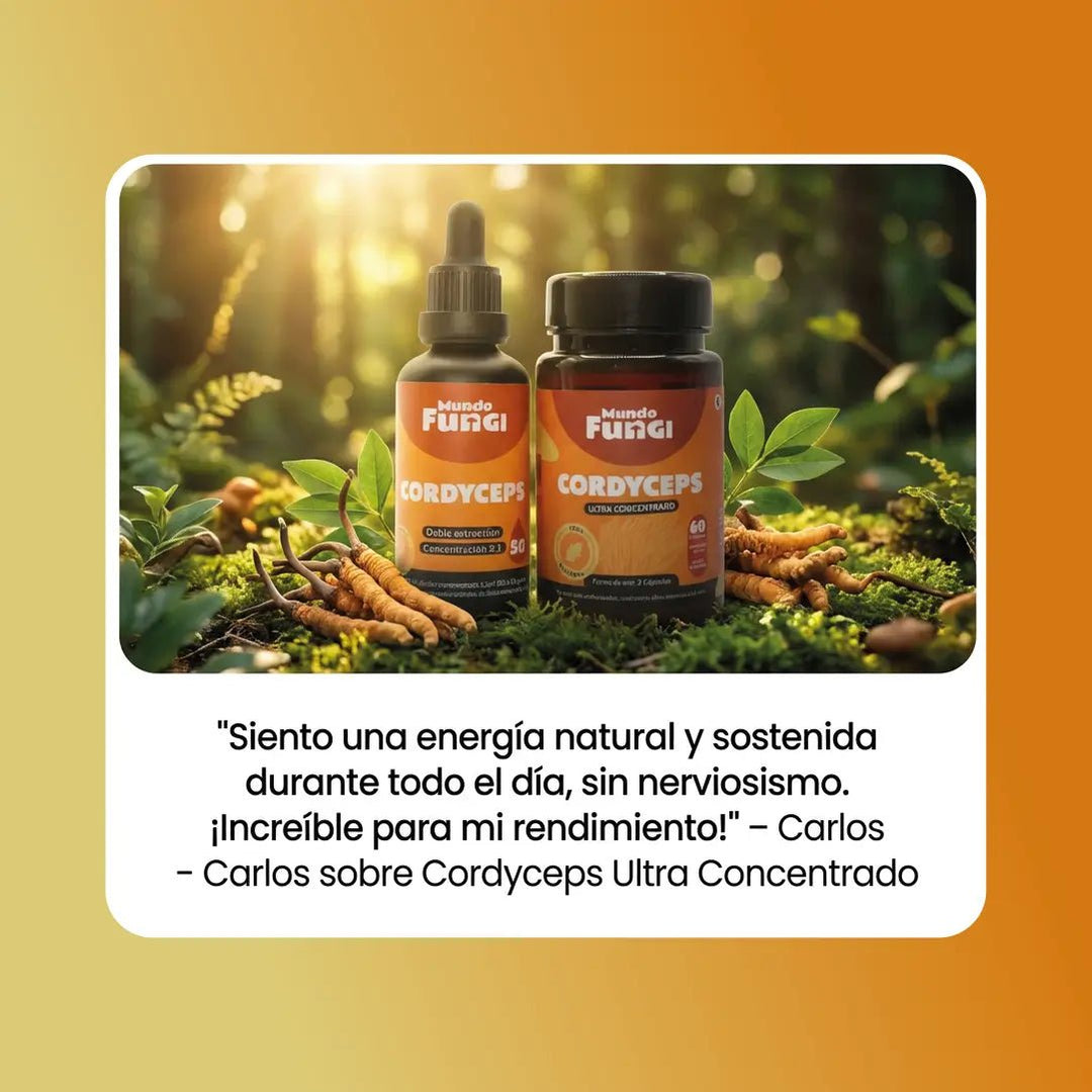 Pack Cordyceps XL