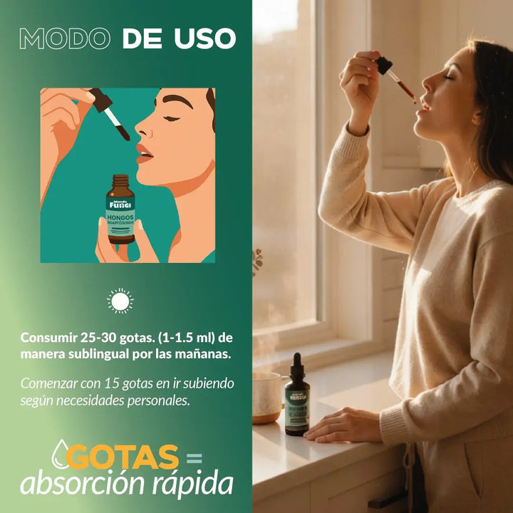 Melena de león en gotas - Memoria y Concentración