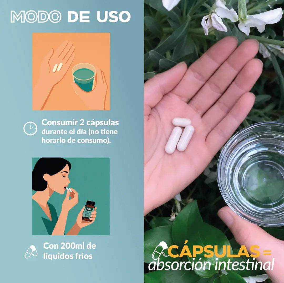 Cola de Pavo Cápsulas – Defensas y Antitumoral