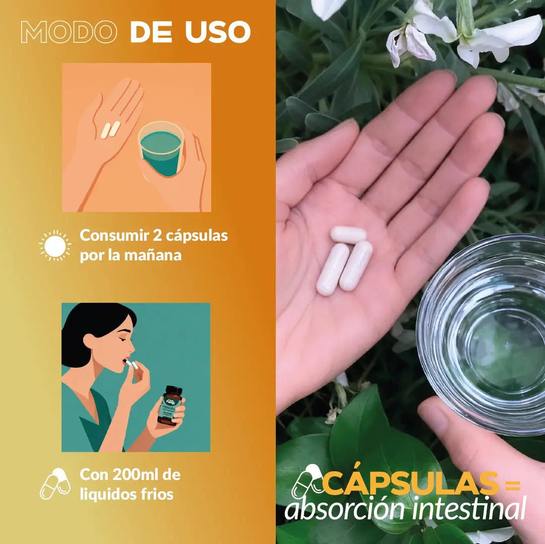 Cordyceps Cápsulas – Energía y Oxigenación