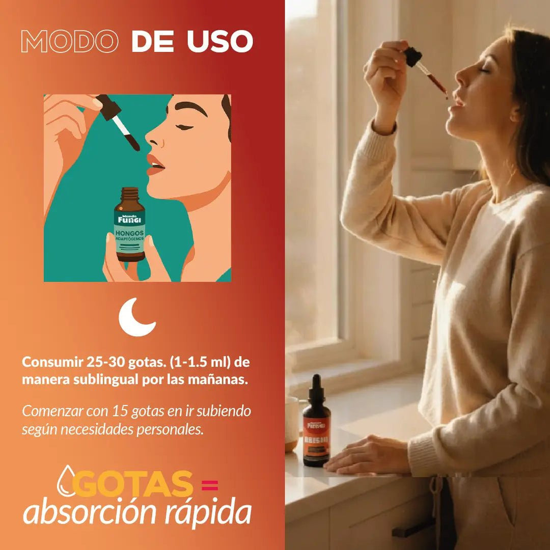 Reishi Gotas – Descanso y Anti‑estrés