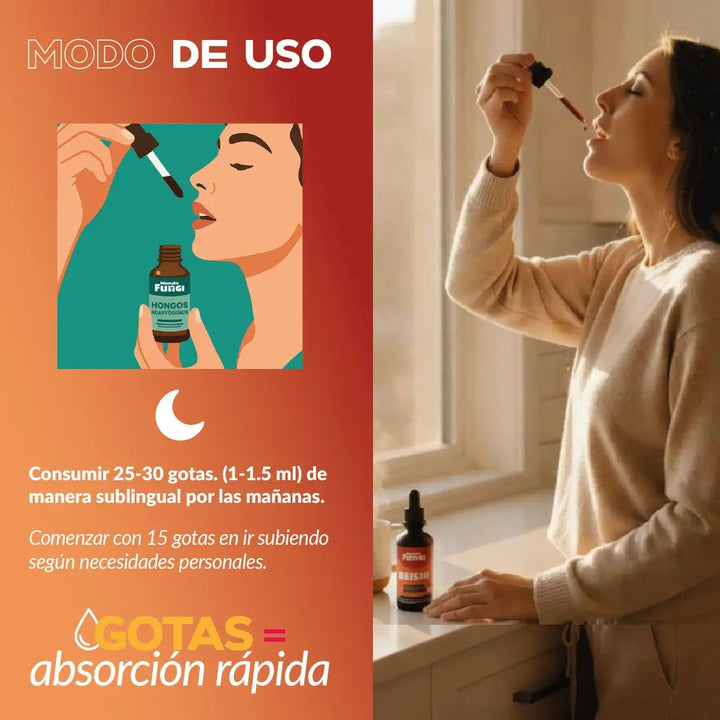 Reishi Gotas – Descanso y Anti‑estrés