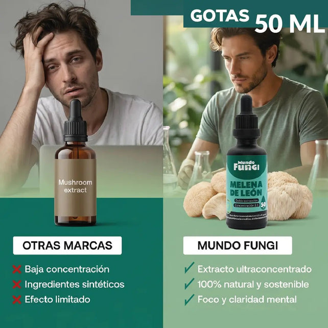 Gotas de Melena de León - Memoria y Concentración