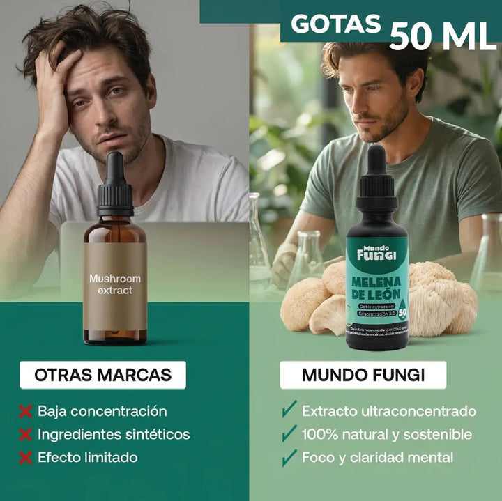 Melena de león en gotas - Memoria y Concentración