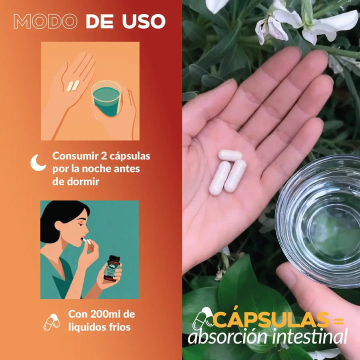 Packs gotas y capsulas Reishi XL