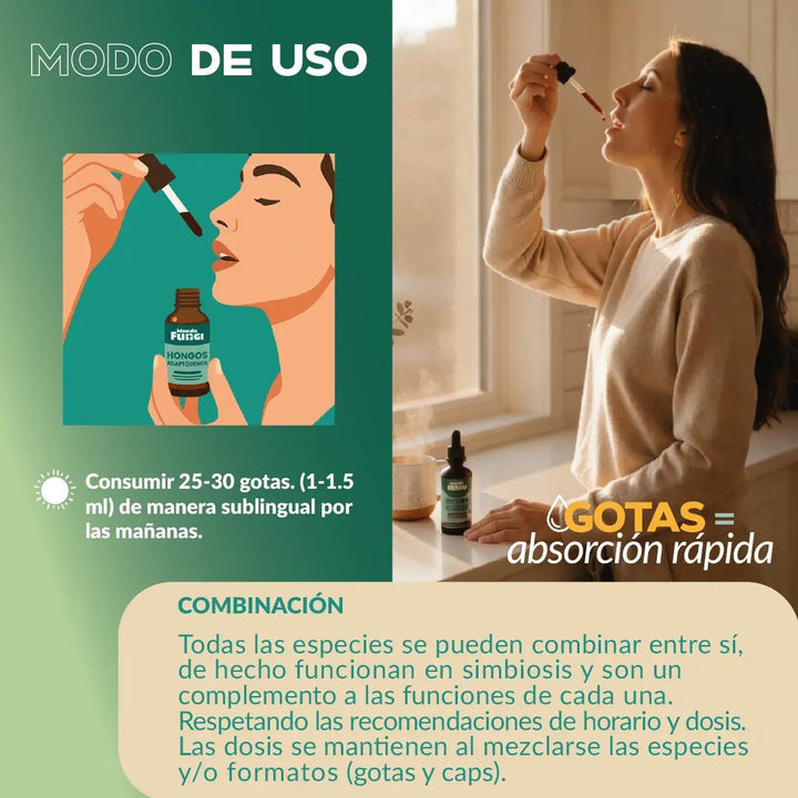 Pack Melena de León - Digestivo y Cognitivo