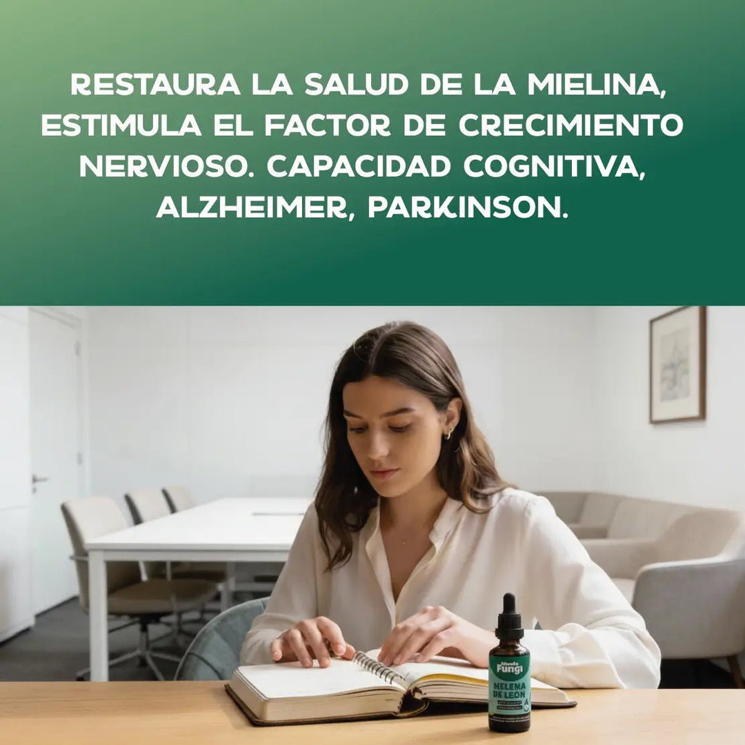 Melena de león en gotas - Memoria y Concentración