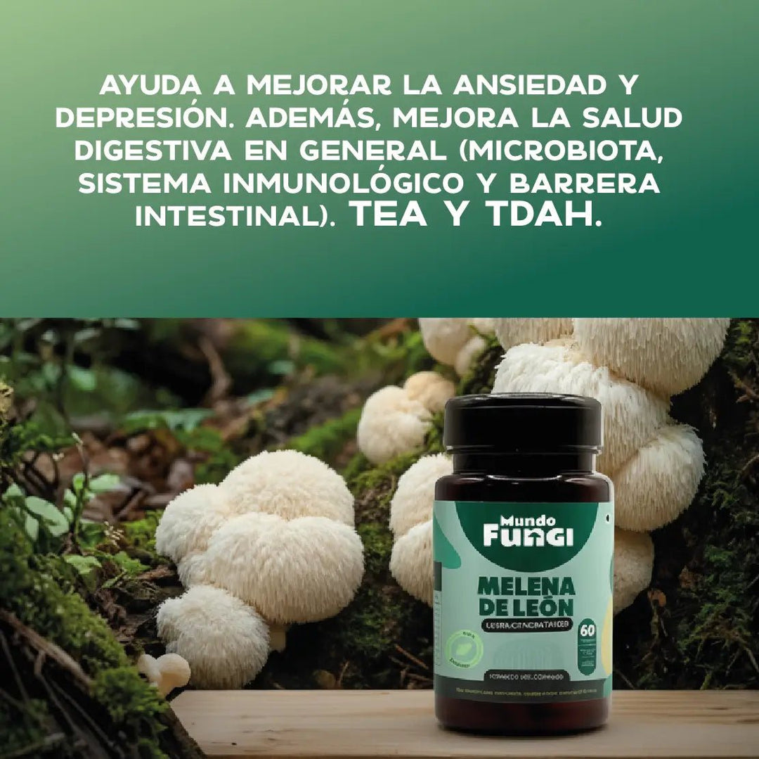 Melena de león en cápsulas - Ansiedad - Salud Digestiva