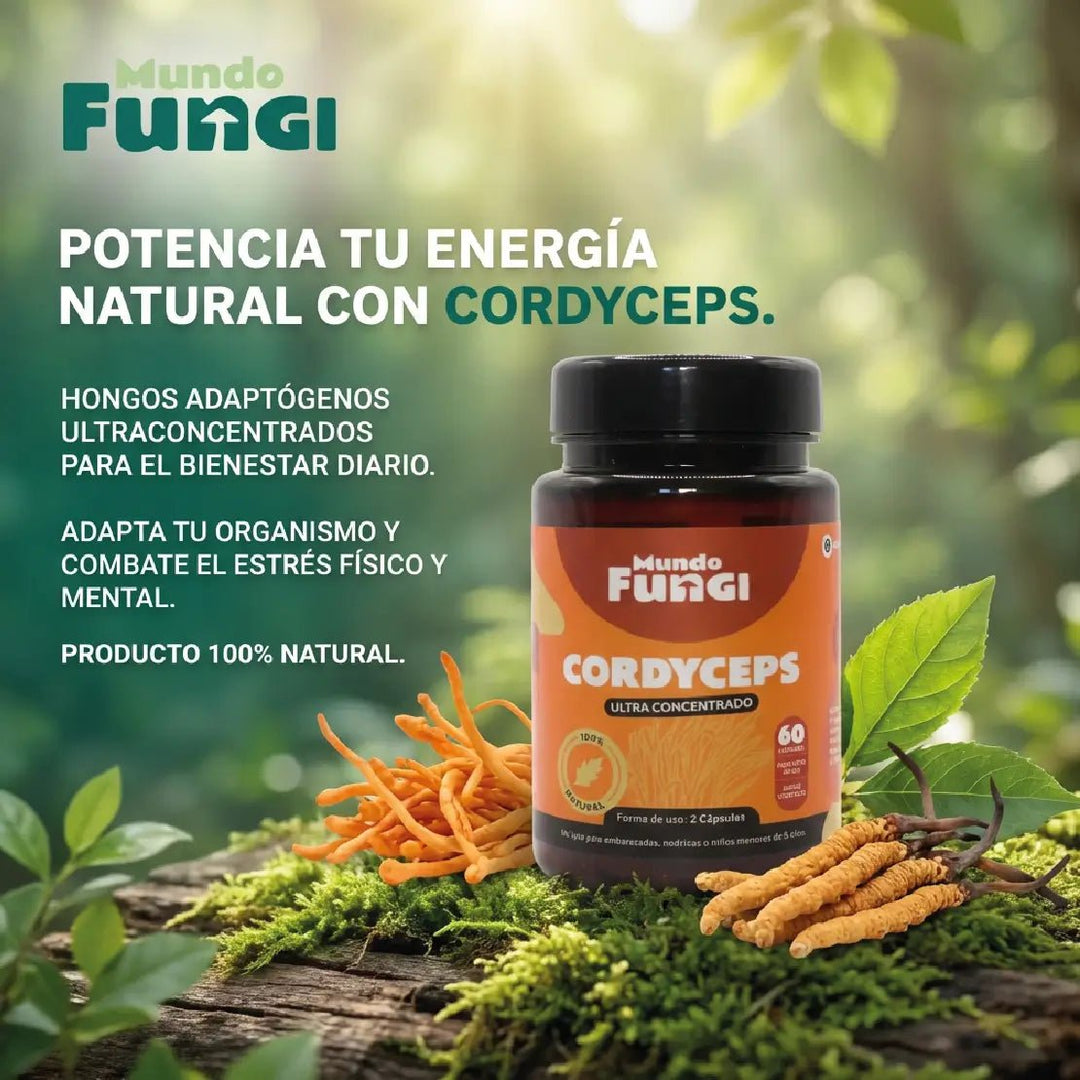 Cordyceps Cápsulas – Energía y Oxigenación