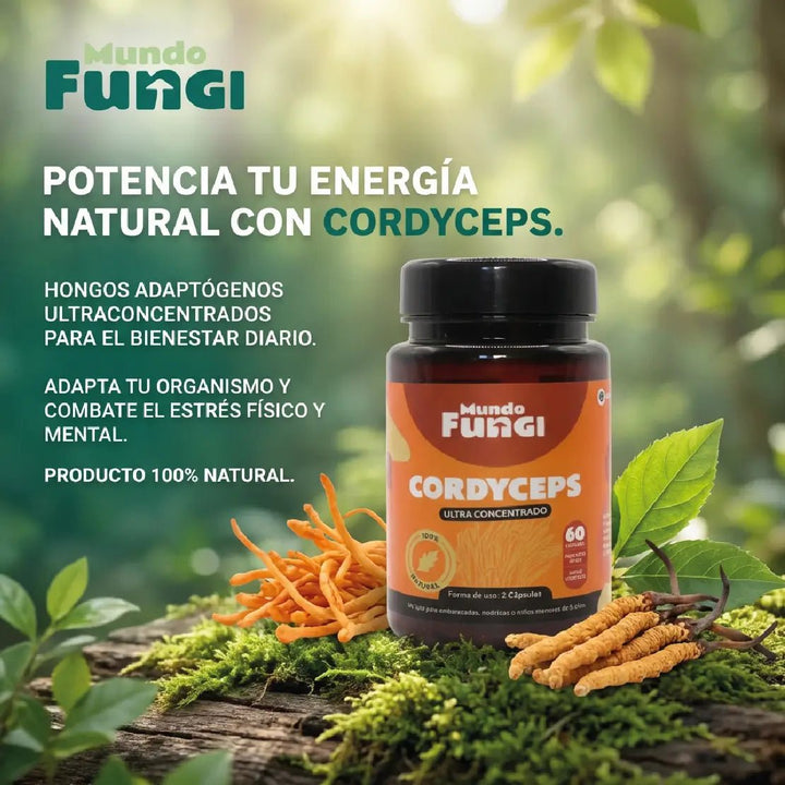 Cordyceps Cápsulas – Energía y Oxigenación