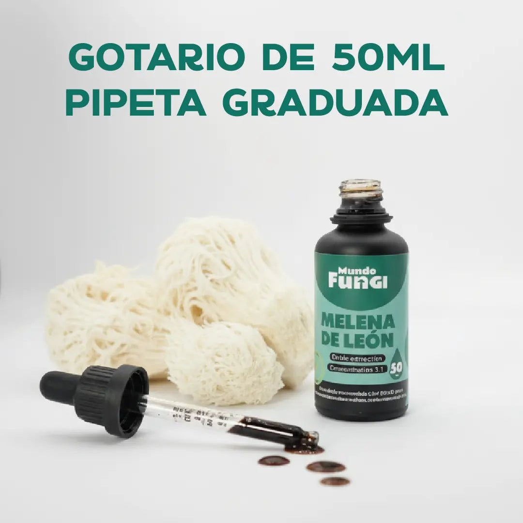 Melena de león en gotas - Memoria y Concentración