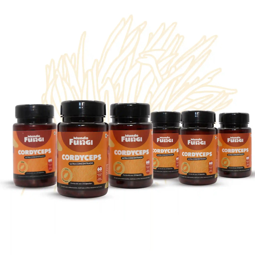 Cordyceps en Cápsulas