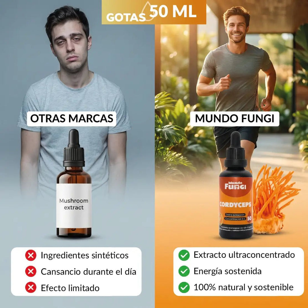 Cordyceps Gotas – Energía y Vitalidad