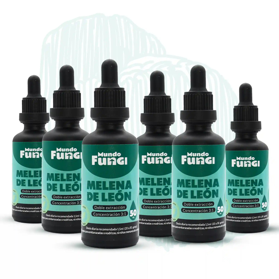 Seis frascos de 50 ml con gotario de uso sublingual que contienen extracto de melena de león ultra concentrado.