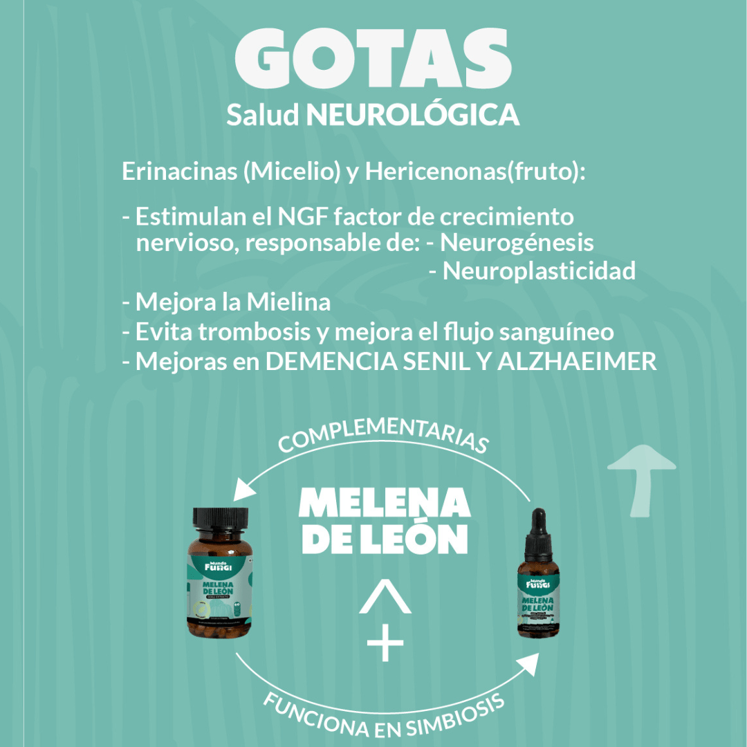 Gotas de Melena de León - Ultra concentrado 50ML