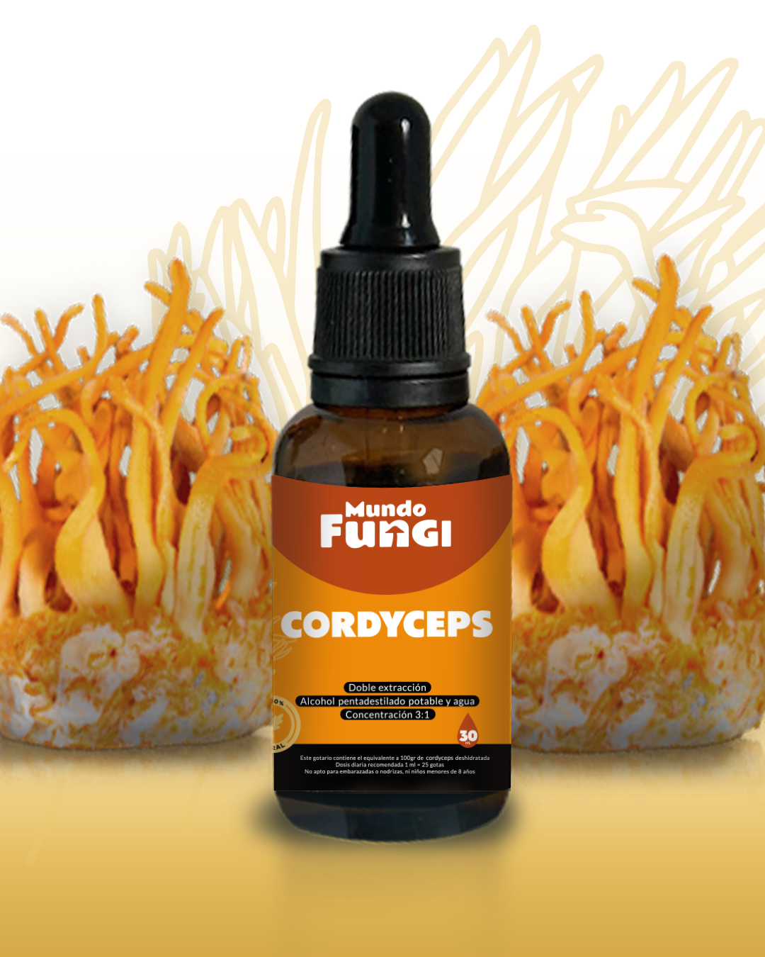 Cordyceps CS-4 Extrait 500mg - 100 Gélules Végétaliennes - Vita World - Champignon Impérial