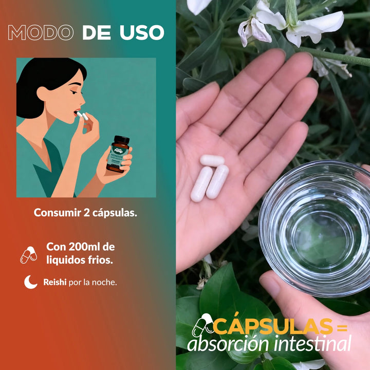 Pack: Calma y Concentración XL