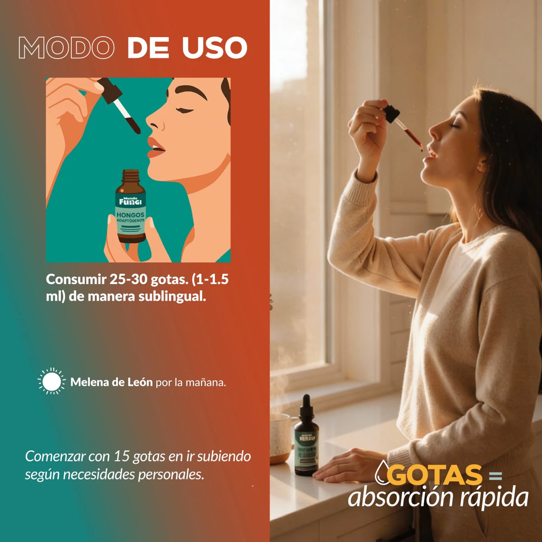 Pack: Calma y Concentración XL