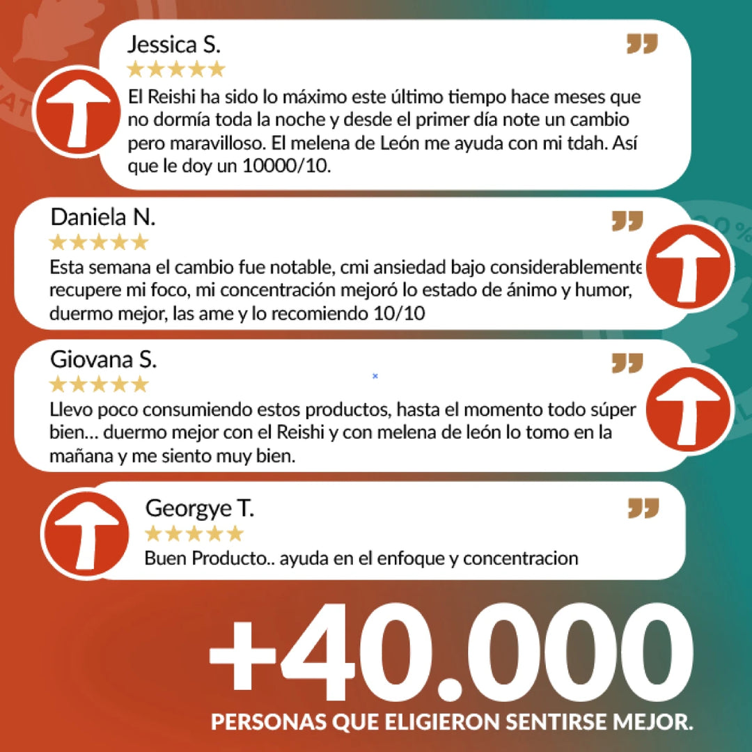 Pack: Calma y Concentración XL