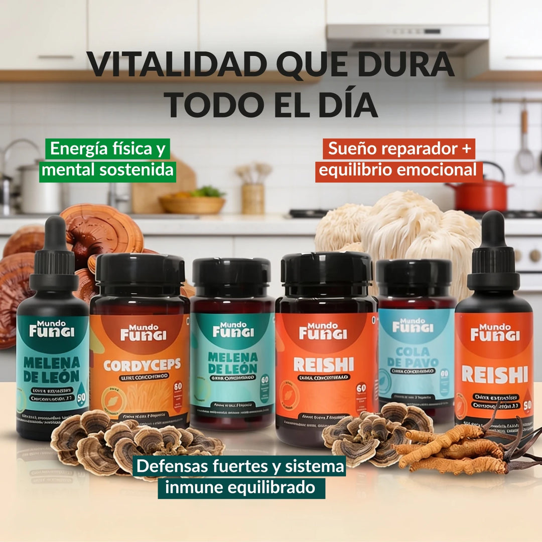 Pack Team Vitalidad XL