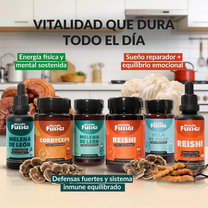 Pack Team Vitalidad XL