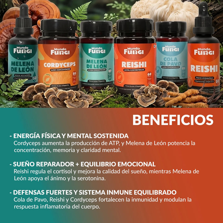 Pack Team Vitalidad XL