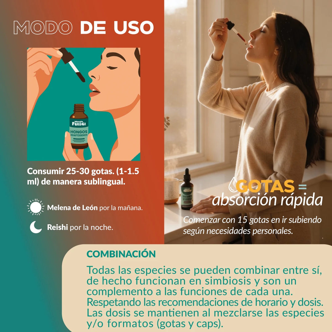 Pack Día & Noche