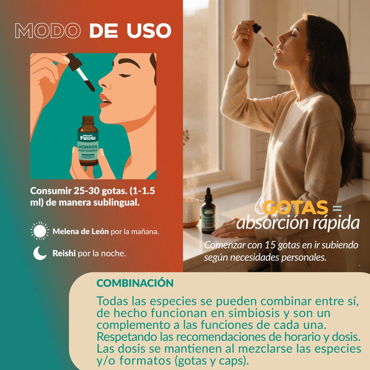 Pack Día & Noche