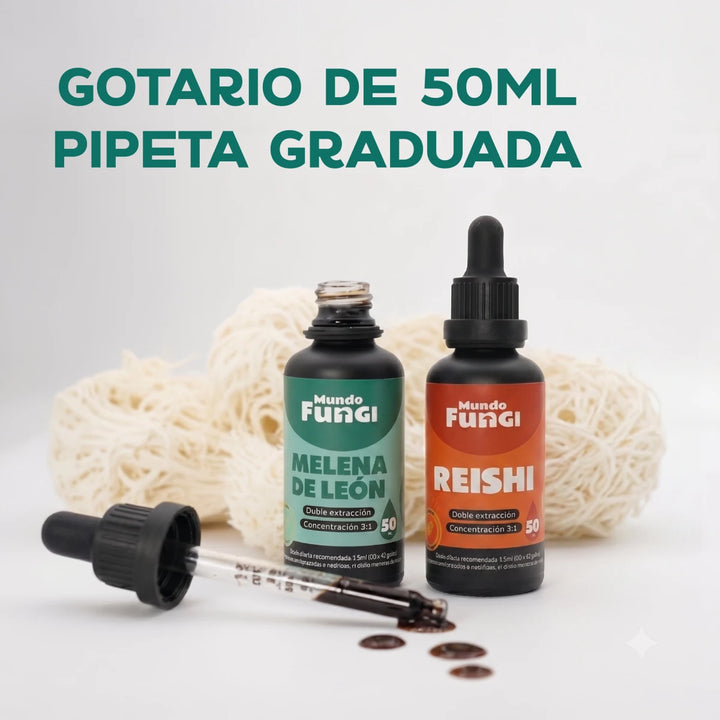 Pack Día & Noche