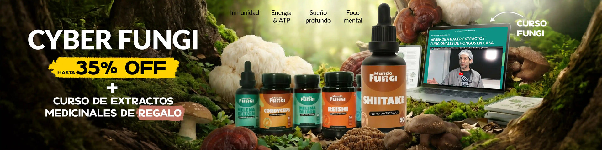 Cyber Day 2026 de Mundo Fungi con hasta un 35% de descuento en hongos medicinales Melena de León, Cordyceps, Reishi y Shiitake, más un curso de extractos medicinales de regalo por tu compra.