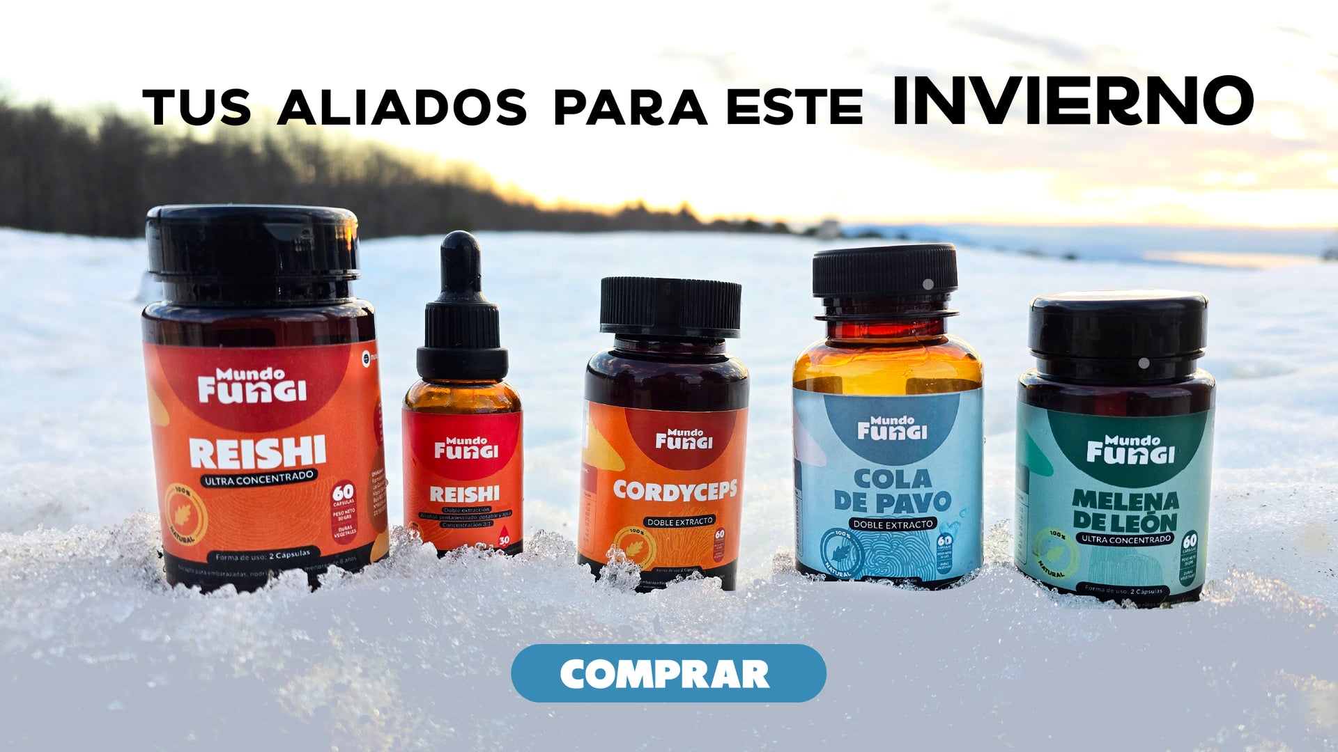 Banner de tienda