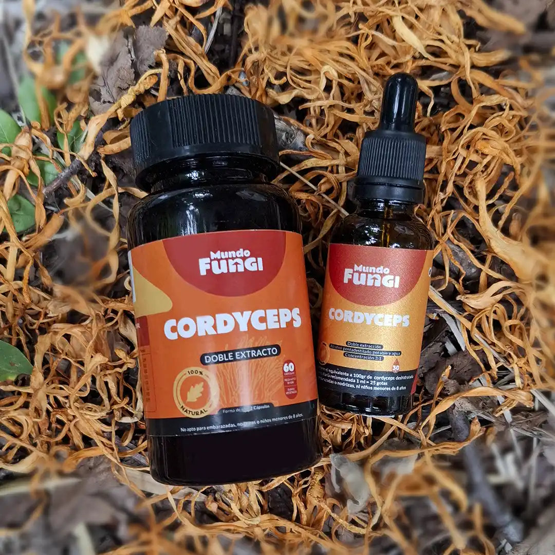 Dos frascos de extracto concentrado de hongo cordyceps (cordyceps sinensis), marca Mundo Fungi, en cápsulas y gotas sublinguales.